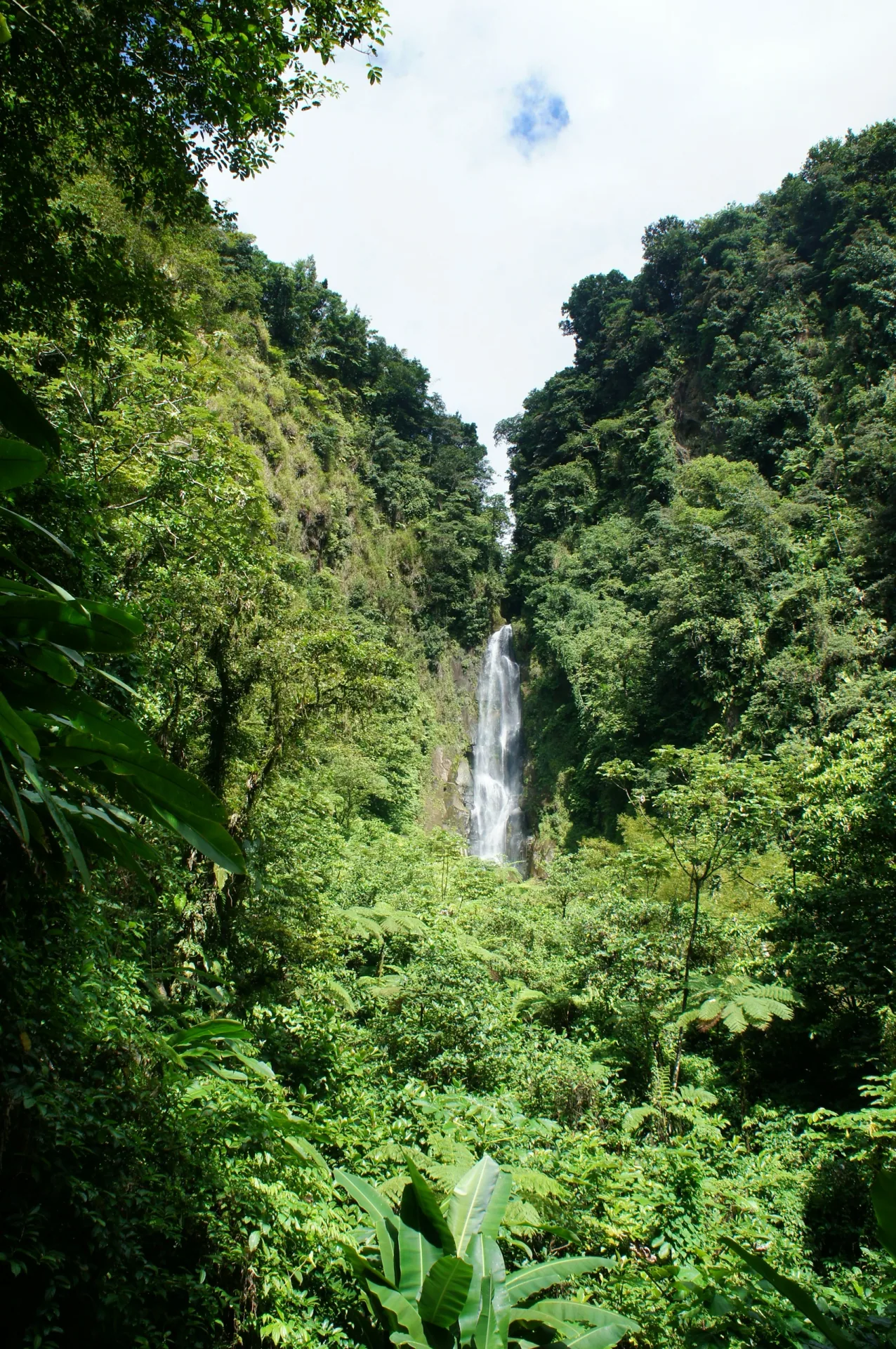 Cascadas en la selva de Dominica