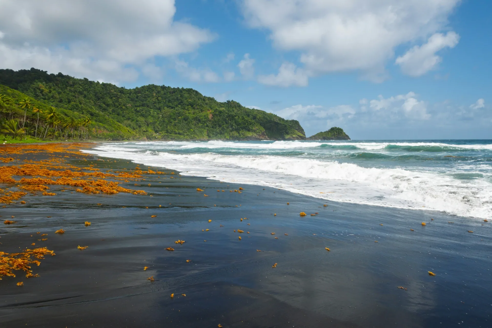Calma costera en Dominica